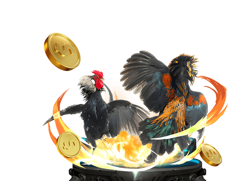 Đá gà trực tuyến kịch tính tại axx88