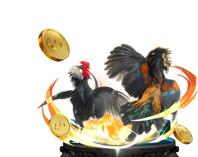 Đá gà trực tuyến kịch tính tại axx88